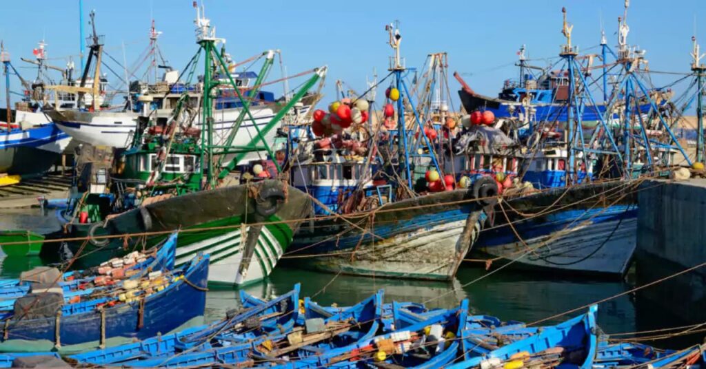 ميناء الصويرة: ارتفاع مفرغات الصيد البحري بـ38%