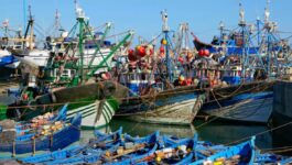 ميناء الصويرة: ارتفاع مفرغات الصيد البحري بـ38%