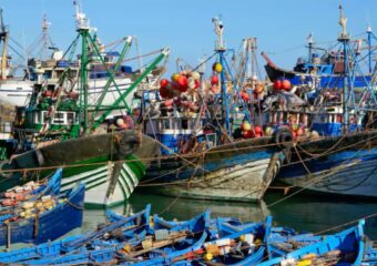 ميناء الصويرة: ارتفاع مفرغات الصيد البحري بـ38%