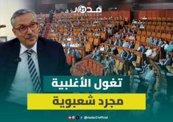 العمراوي: “تغول الأغلبية” توصيف سياسوي شعبوي بعيد عن الواقع
