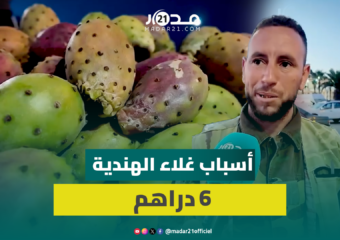 6 دراهم للحبة.. خبايا كتمها تجار التقسيط حول التهاب أسعار “الهندية”