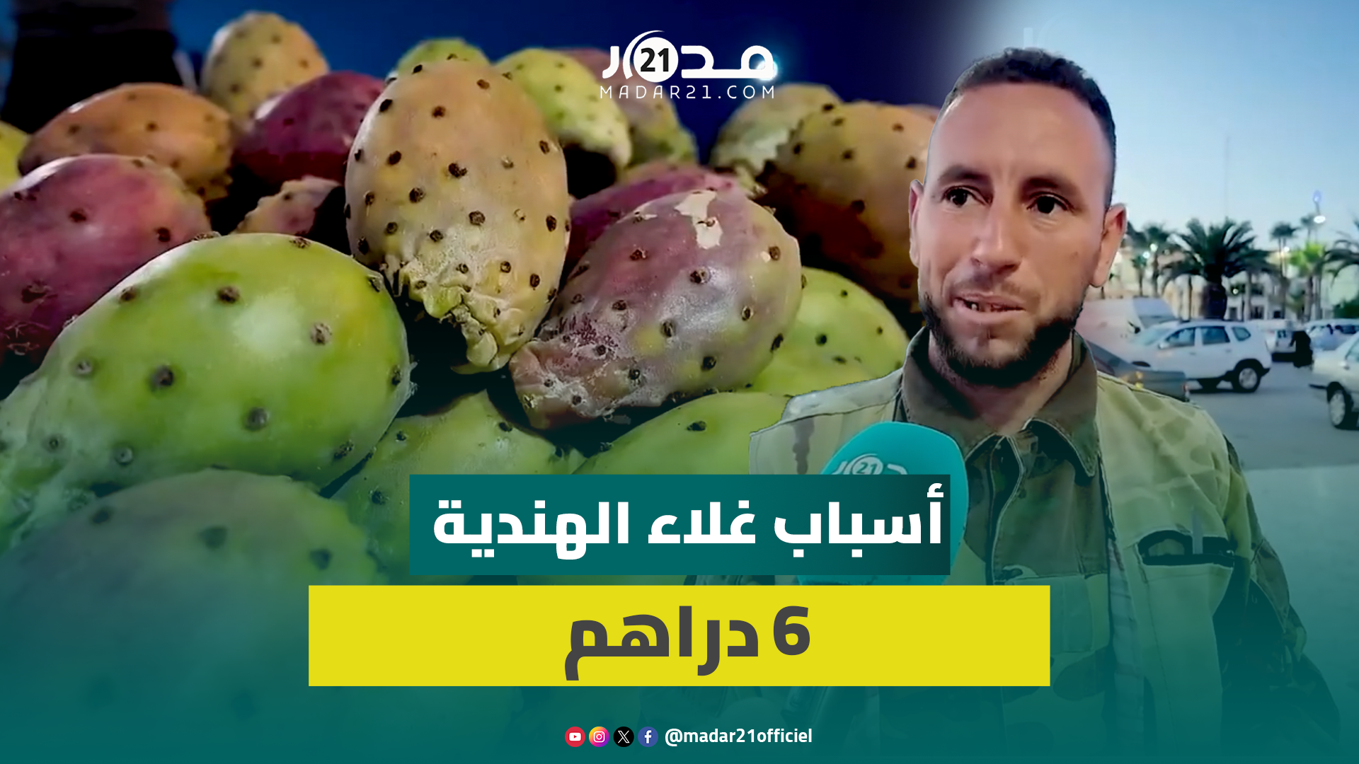 6 دراهم للحبة.. خبايا كتمها تجار التقسيط حول التهاب أسعار “الهندية”