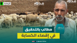 “إقصاء كَسَّابة الرحامنة من دعم الماشية يثير الغضب ومطالبات بالمحاسبة