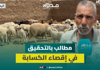 “إقصاء كَسَّابة الرحامنة من دعم الماشية يثير الغضب ومطالبات بالمحاسبة