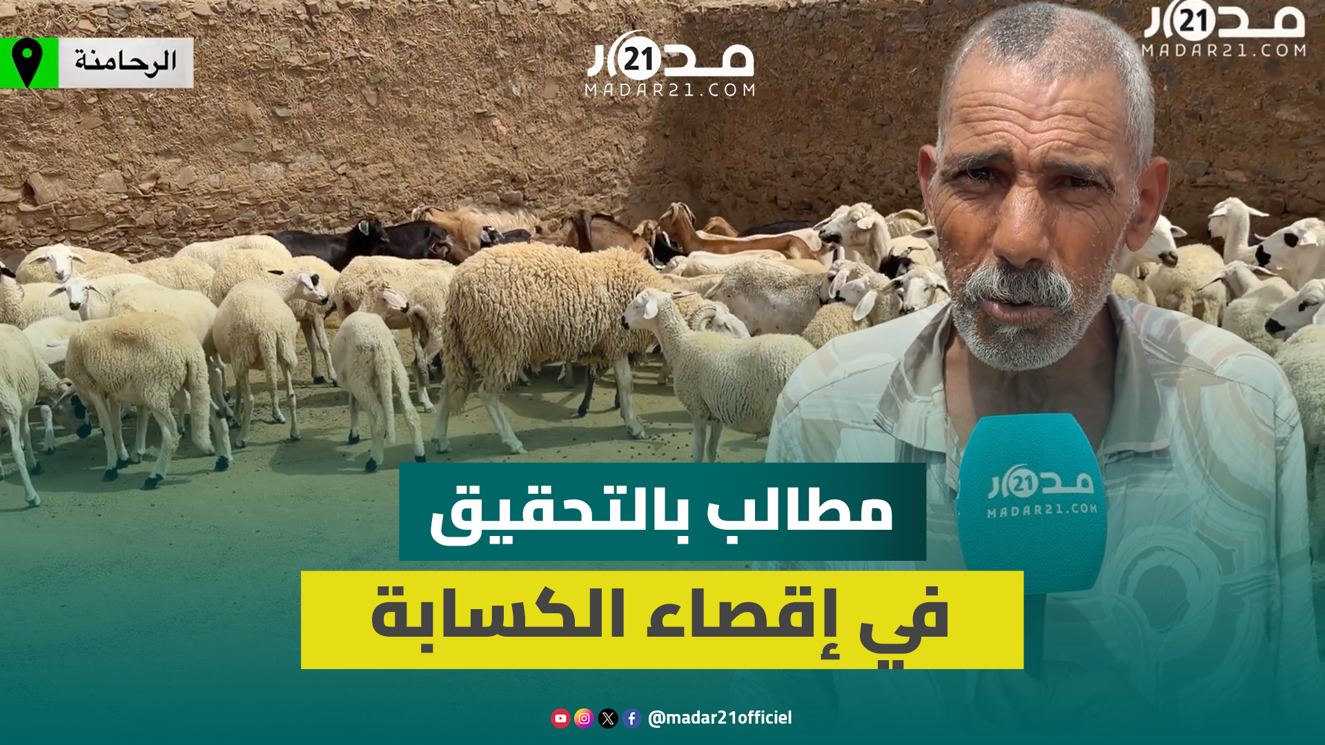 “إقصاء كَسَّابة الرحامنة من دعم الماشية يثير الغضب ومطالبات بالمحاسبة