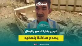 صدمة بين ساكنة بلعكيد وضواحي مراكش إثر تداول فيديو لجثت دواب تزامنا مع بيع لحوم رخيصة بالمنطقة