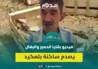 صدمة بين ساكنة بلعكيد وضواحي مراكش إثر تداول فيديو لجثت دواب تزامنا مع بيع لحوم رخيصة بالمنطقة