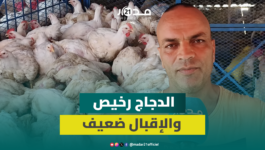 رغم انخفاض أسعار الدجاج.. الركود يسيطر على الأسواق والمهنيون يتحدثون عن الأزمة