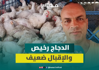 رغم انخفاض أسعار الدجاج.. الركود يسيطر على الأسواق والمهنيون يتحدثون عن الأزمة