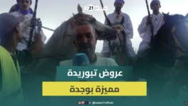 عروض التبوريدة وطلقات البارود يميزان موسم سيدي موسى بوجدة