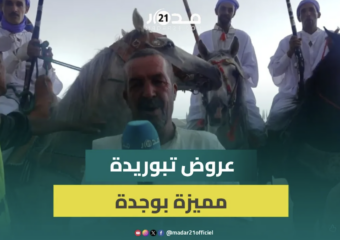 عروض التبوريدة وطلقات البارود يميزان موسم سيدي موسى بوجدة