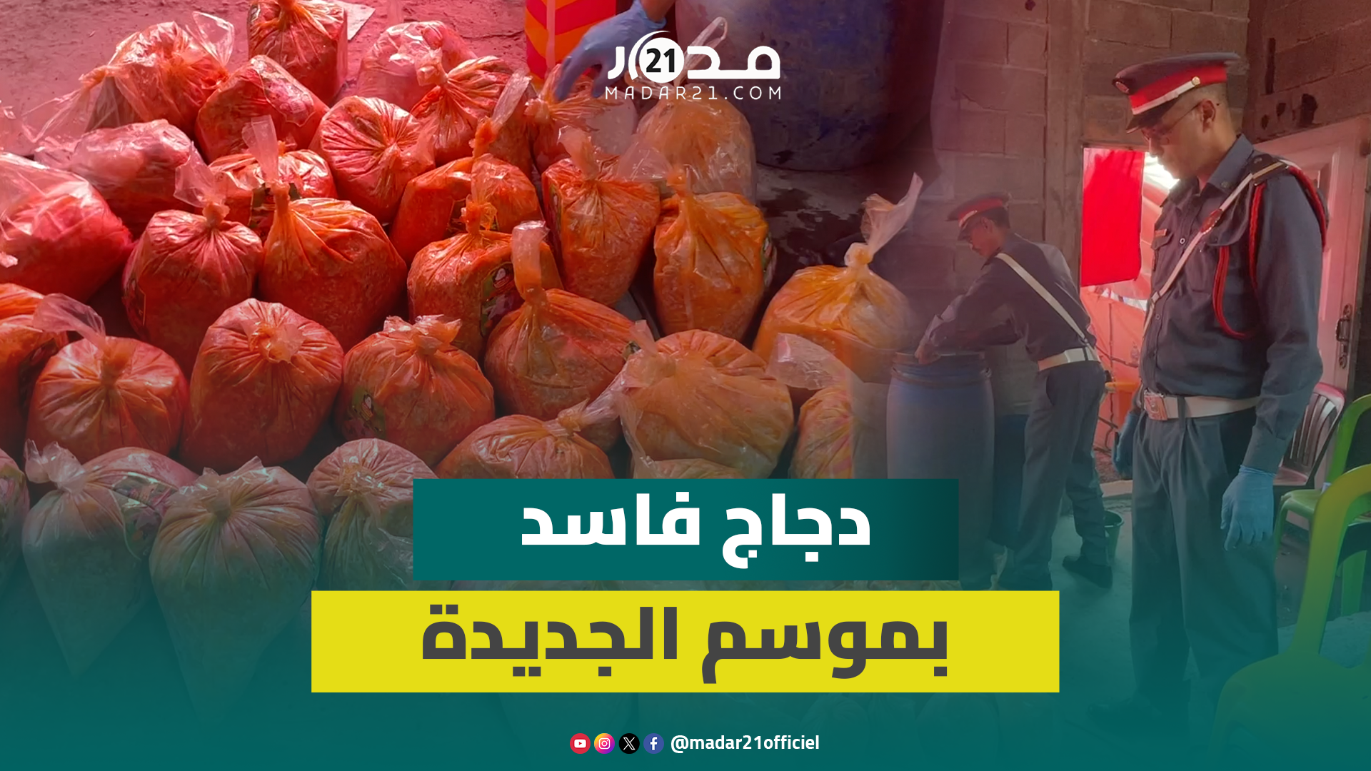 درك الجديدة يحجز دجاج فاسد بموسم مولاي عبد الله أمغار