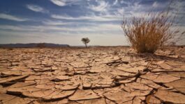 الاحترار المناخي يفاقم مخاطر الحر على كبار السن
