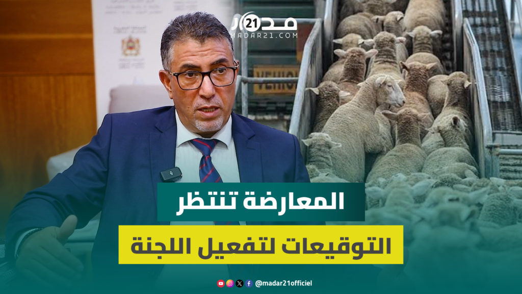 ما زلنا ننتظر توقيعات الفرق لتفعيل لجنة تقصي الحقائق