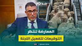 ما زلنا ننتظر توقيعات الفرق لتفعيل لجنة تقصي الحقائق