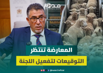 ما زلنا ننتظر توقيعات الفرق لتفعيل لجنة تقصي الحقائق