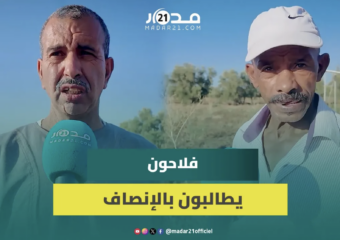 فلاحون صغار يستنجدون بعد فقدان محصول الشمندر ويطالبون بالتحرك لمعالجة وضعهم