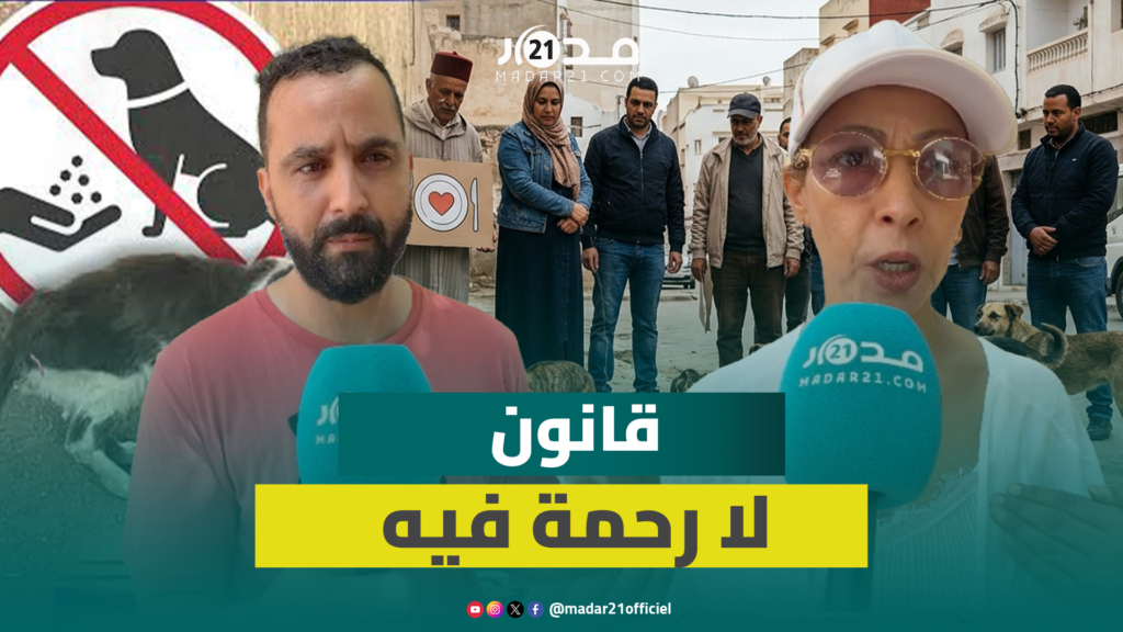 فعاليات مدنية تنتقد تجريم إطعام الحيوانات الضالة وتطالب بأماكن خاصة لذلك