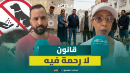فعاليات مدنية تنتقد تجريم إطعام الحيوانات الضالة وتطالب بأماكن خاصة لذلك