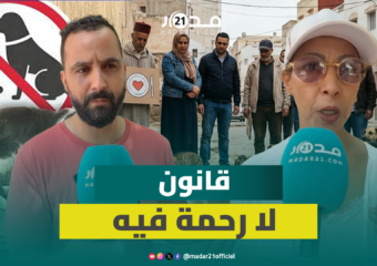 فعاليات مدنية تنتقد تجريم إطعام الحيوانات الضالة وتطالب بأماكن خاصة لذلك