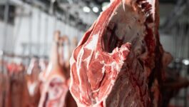 غلاء اللحوم يتواصل.. الأسعار المرتفعة تخفض الإقبال وتضغط على الجزارين
