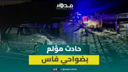 حادث مؤلم بطريق ولاد جامع ضواحي فاس.. دهس أكثر من 6 نعاج وفلاحون يروون التفاصيل