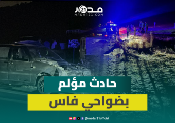 حادث مؤلم بطريق ولاد جامع ضواحي فاس.. دهس أكثر من 6 نعاج وفلاحون يروون التفاصيل
