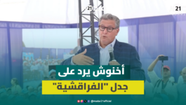أخنوش من تيفلت: استوردنا الأغنام ياش يعيدوا المغاربة.. و”البام” يسييس أزمة القطيع