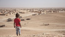 منظمة دولية تحذر من استغلال الأطفال الصحراويين تحت غطاء المبادرات الإنسانية