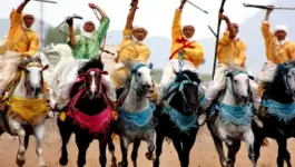 قبل طلقة البارود.. يوم داخل سربة تبحث عن الانسجام الكامل