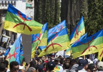 الانتخابات تُجدِّد نقاش الحزب الأمازيغي وتماينوت تنتقد تخلي الأحزاب عن الأمازيغية
