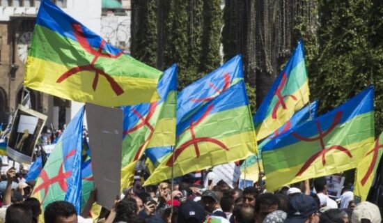 الانتخابات تُجدِّد نقاش الحزب الأمازيغي وتماينوت تنتقد تخلي الأحزاب عن الأمازيغية