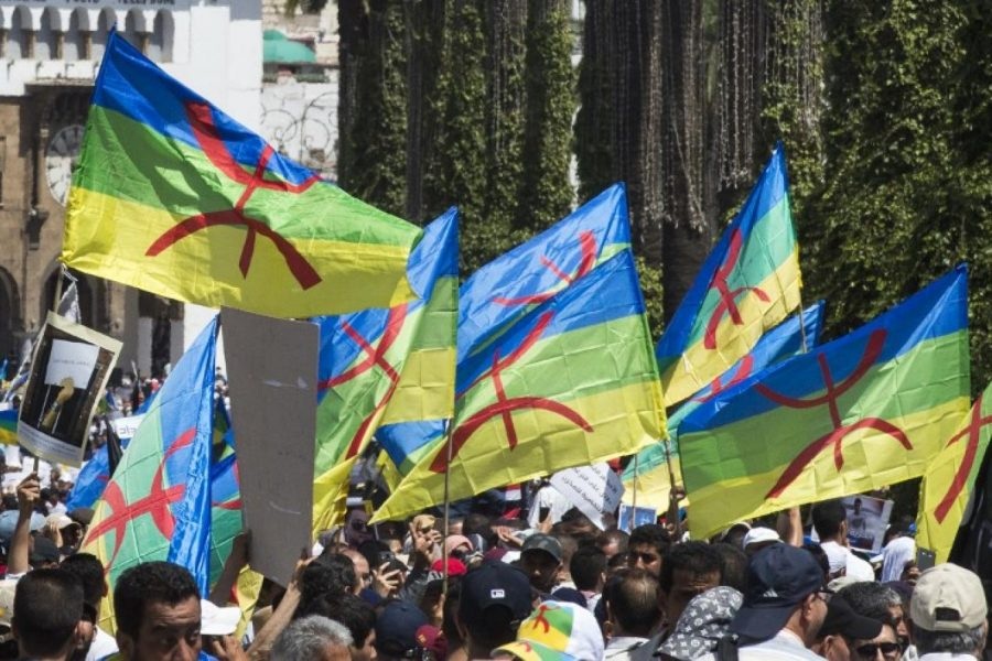 الانتخابات تُجدِّد نقاش الحزب الأمازيغي وتماينوت تنتقد تخلي الأحزاب عن الأمازيغية