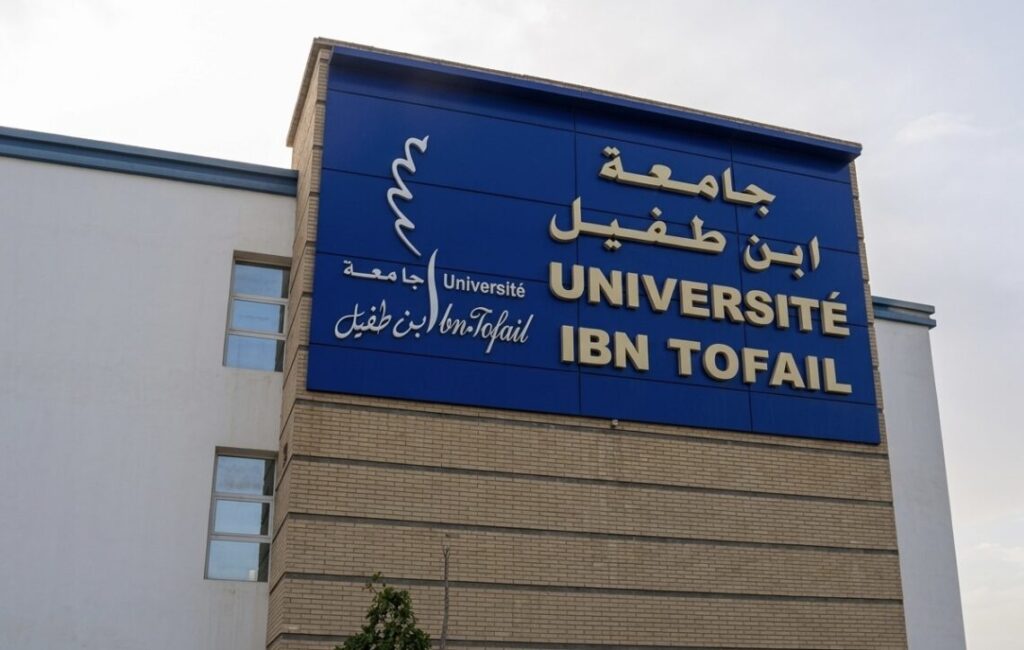 ابن طفيل تراهن على الذكاء الاصطناعي والسيارات والطيران لتعزيز إدماج الخريجين