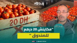 مهنيون يهاجمون الفيديوهات المضللة “مكاينش 20 درهم للصندوق”