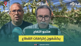 منتجو التفاح بإقليم صفرو يكشفون أبرز الإكراهات والتحديات التي تواجه القطاع