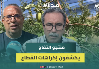منتجو التفاح بإقليم صفرو يكشفون أبرز الإكراهات والتحديات التي تواجه القطاع