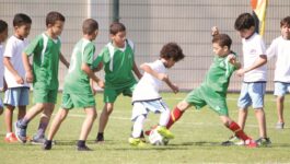 وزارة التربية تراهن على إشراك مليون تلميذ في البطولة الوطنية المدرسية لكرة القدم في أفق 2030