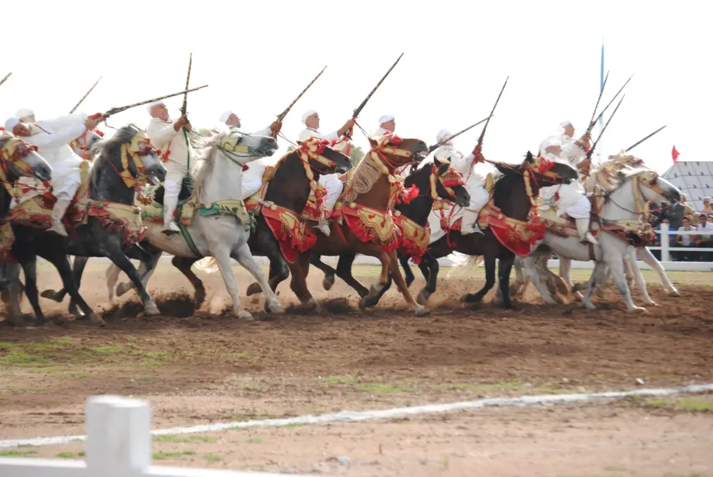 مواهب شابة تحتفي بالخيل بمعرض الفرس للجديدة