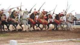 مواهب شابة تحتفي بالخيل بمعرض الفرس للجديدة