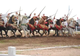 مواهب شابة تحتفي بالخيل بمعرض الفرس للجديدة