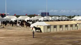 تعاونيات تغتنم معرض الفرس لعرض منتجاتها