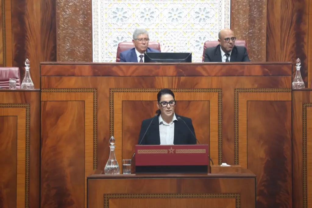المنصوري: سنترجم انتظارات المغاربة لسياسات عمومية والبرنامج الحكومي يصحح الاختلالات