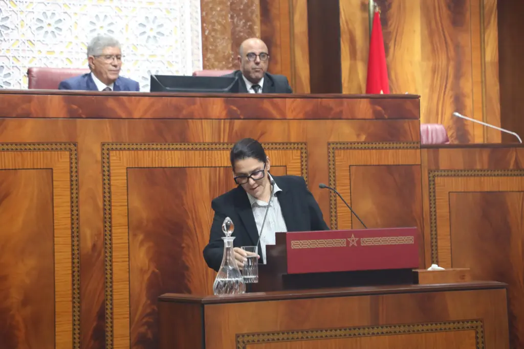 المنصوري تتعهد بمواجهة الفساد وتضارب المصالح: لن نستعيد ثقة المؤسسات دون محاربتهما