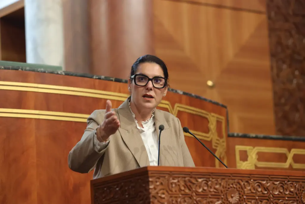 المنصوري: حكومتنا سياسية بامتياز ولست في حاجة لدروس في قضايا جاليتنا