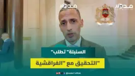 ملال: تجاوزات دعم استيراد المواشي تقتضي لجنة تحقيق ومستعدون للمساعدة