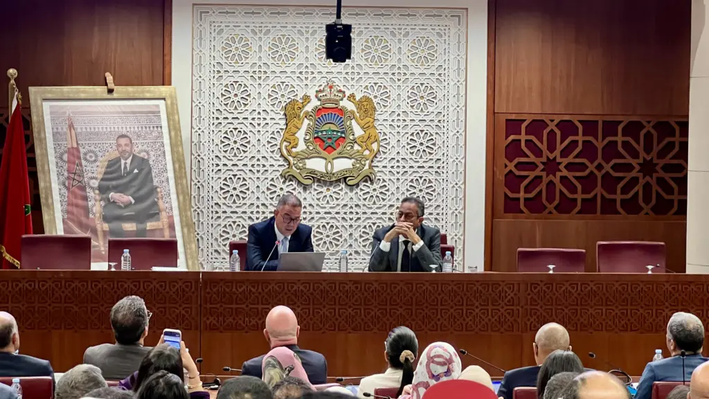 لقجع: لا علاقة بين إصلاح التقاعد ورفع معاشات الأرامل.. ودعم الدقيق والسكر لا يصل مستحقيه