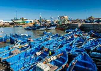 غرفة الصيد المتوسطية تحذر الحكومة من تداعيات شلل مراكب الصيد بالشمال