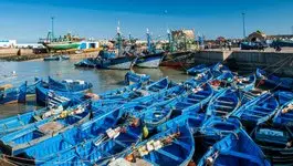 غرفة الصيد المتوسطية تحذر الحكومة من تداعيات شلل مراكب الصيد بالشمال