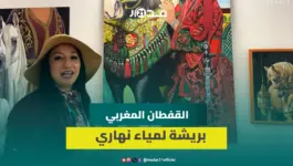 لمياء نهاري.. فنانة تشكيلية تدافع عن التراث والقفطان المغربي من خلال لوحات ملهمة